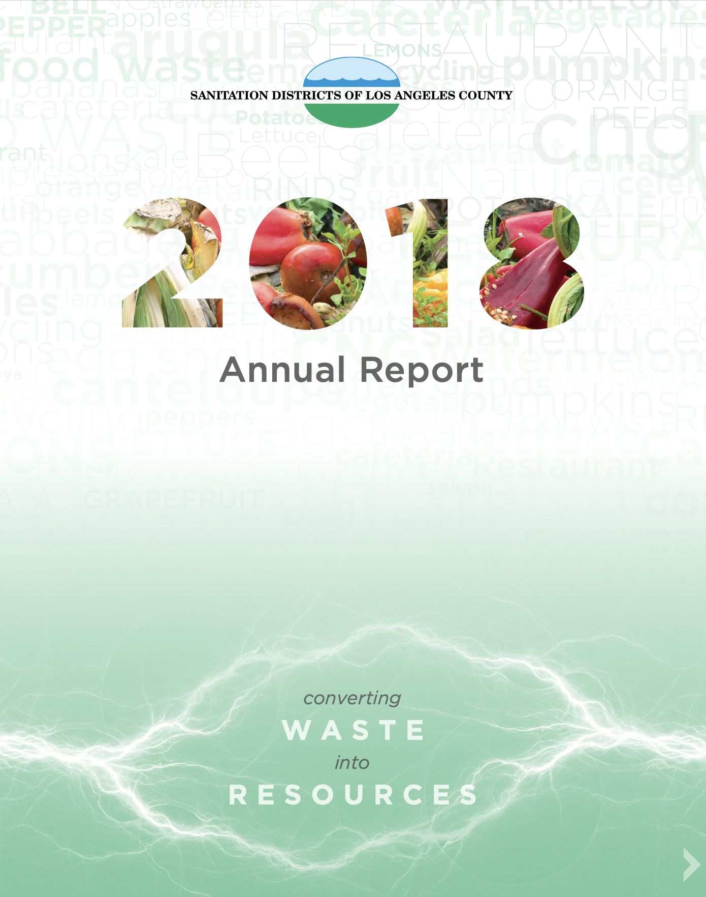 2018 Annual Report