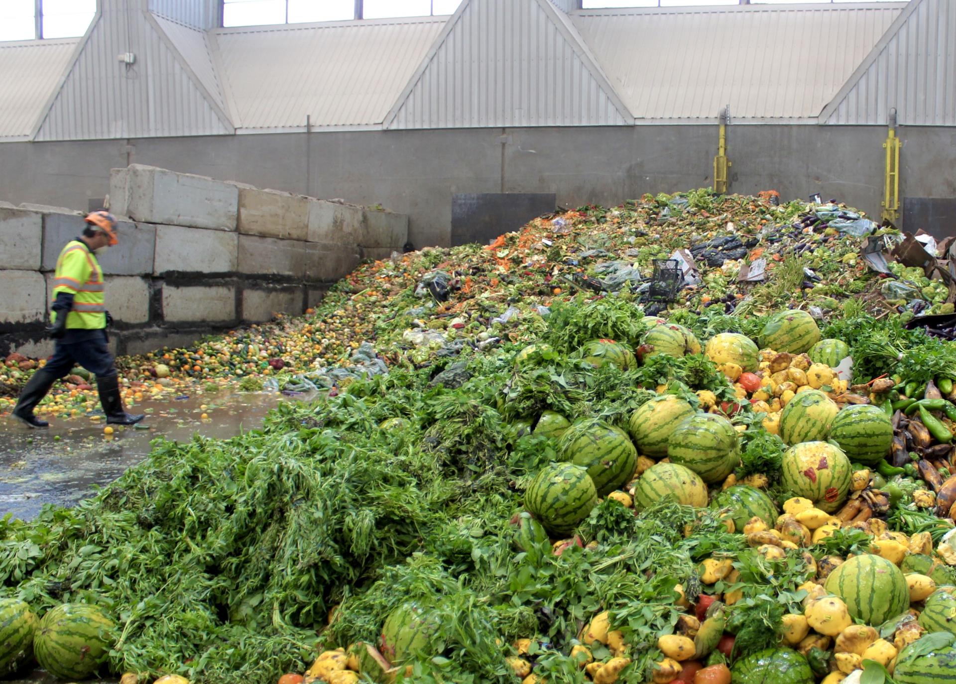 Examples of Food Waste