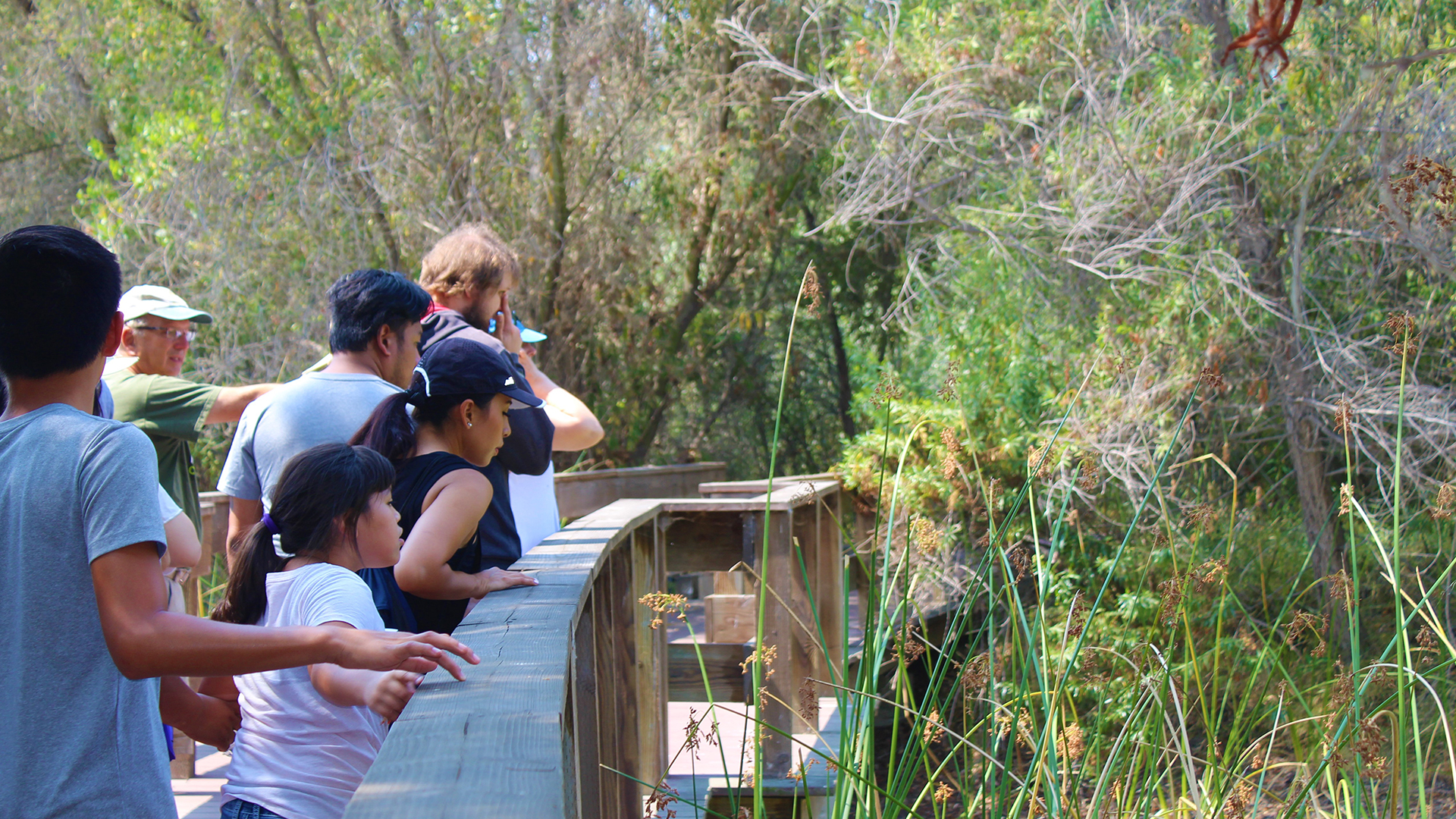 Tour of Marshland