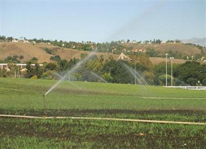 Agricultural Fields, Cal Poly Pomona